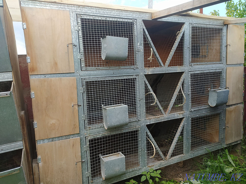 Қояндарды өсіруге арналған торлар  - изображение 1