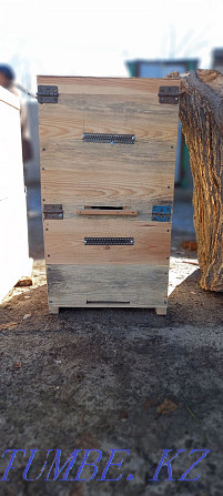 Sell new hives Нурмухамеда Есентаева - photo 2