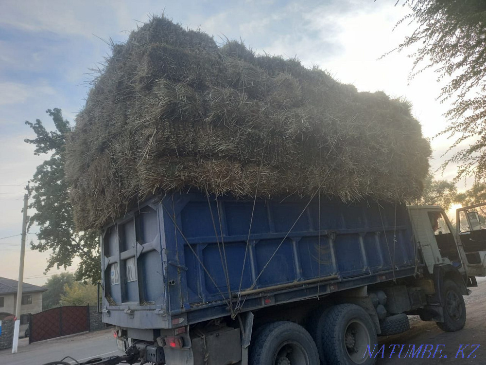 Hay forbs shop zhonyshka alfalfa Панфилово - photo 1
