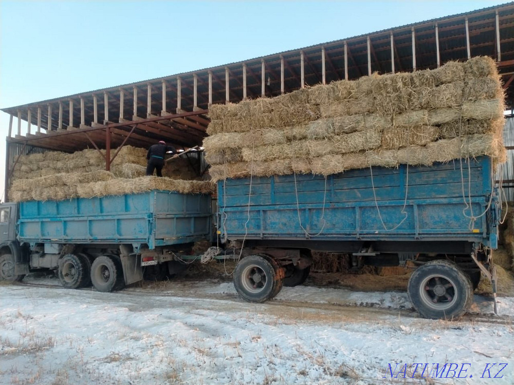 Hay forbs shop zhonyshka alfalfa Панфилово - photo 2
