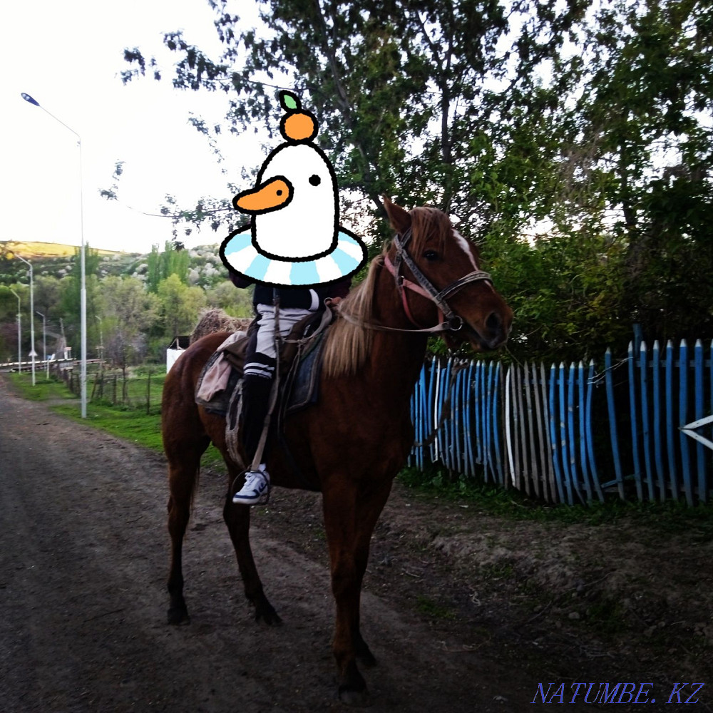 Песня ай ы ы ай. Песня ай ы ы ай