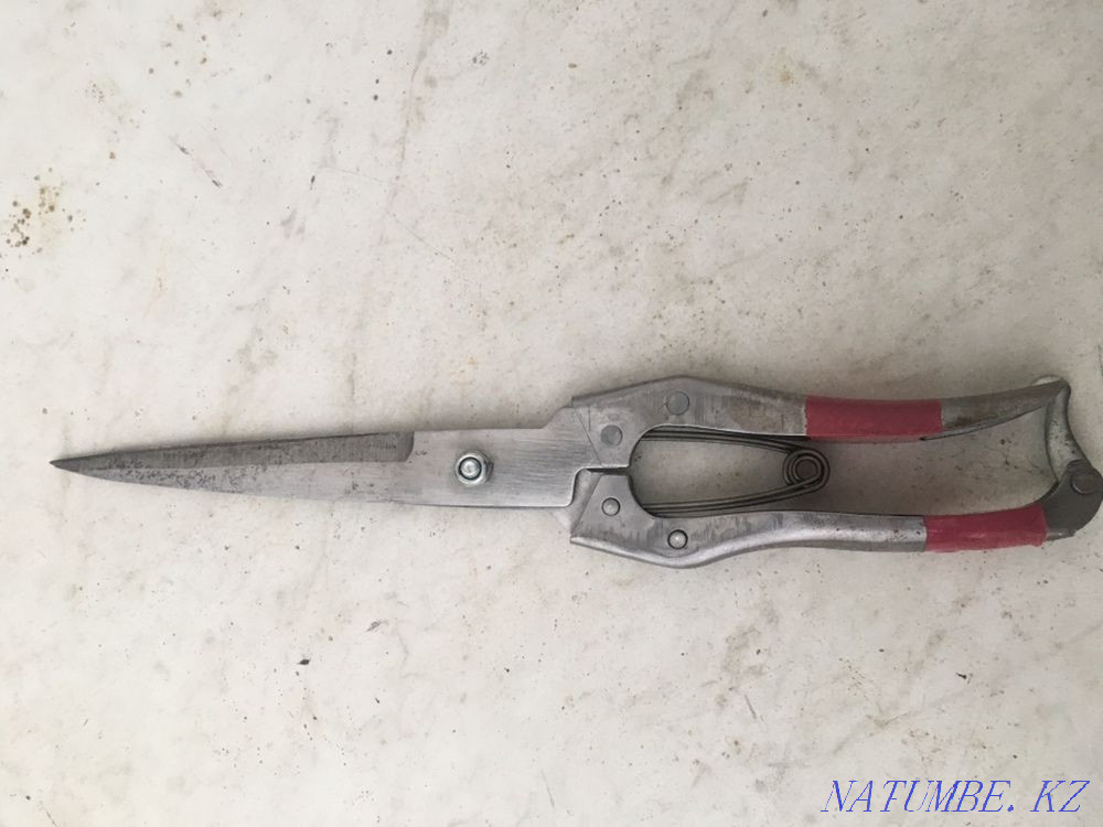 Scissors fucking animals koydin kaishysy  - photo 1