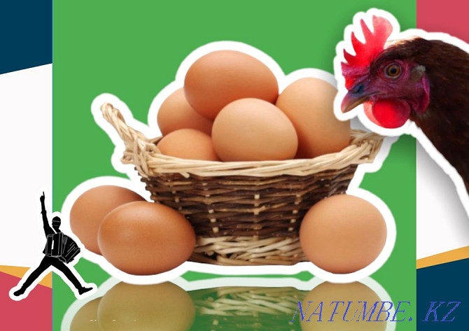 Egg broken brown hatching wholesale fresh Kokshetau - photo 1