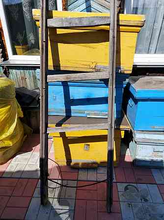 Продам пчелиные улья Петропавловск