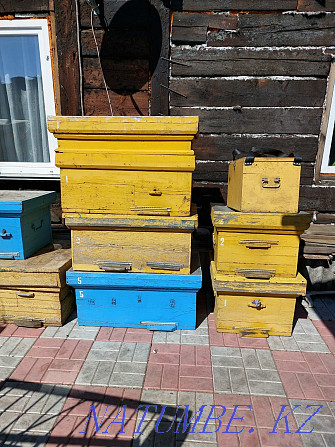 Продам пчелиные улья Петропавловск - изображение 1