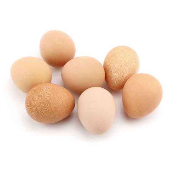 Яйца Цесарки  Алматы