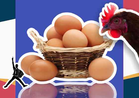 Яйцо ломан браун инкубационное средний оптом от 100 шт и выше Актобе