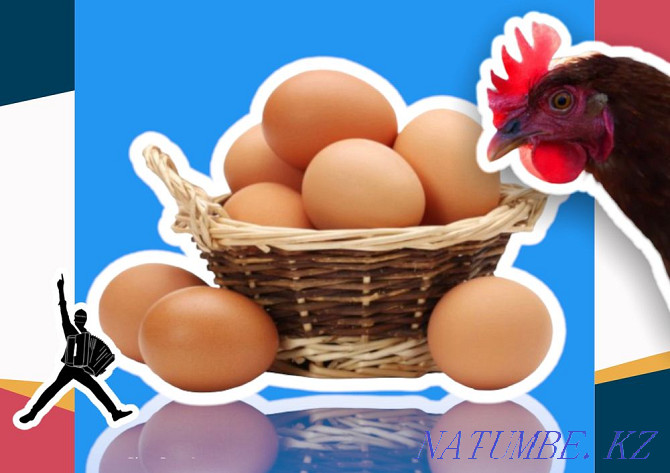 Egg broken brown hatching medium wholesale from 100 pcs and above Aqtobe - photo 1