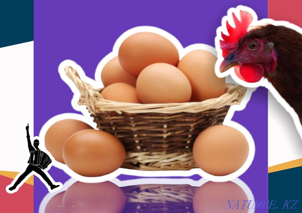 Egg broken brown incubatory wholesale in stock Atyrau - photo 2
