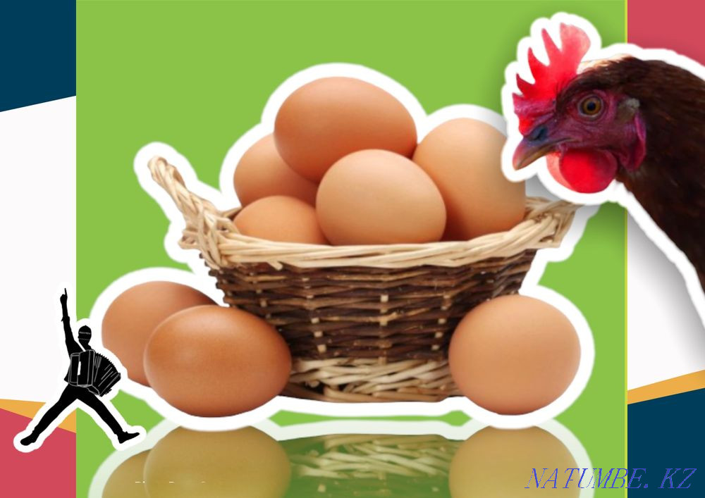 Яйцо ломан браун инкубационное оптом отправка в регионы поездом Туркестан - изображение 2