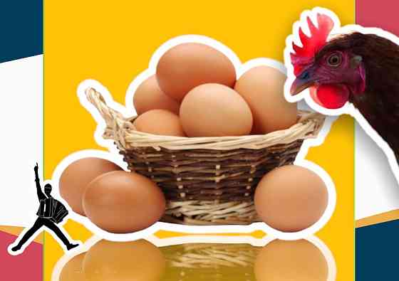 Яйцо ломан браун инкубационное оптом отправка в регионы Шымкент