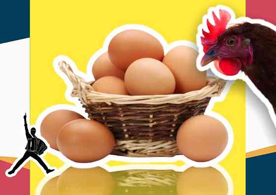 Яйцо ломан браун инкубационное оптом отправка в регионы Шымкент