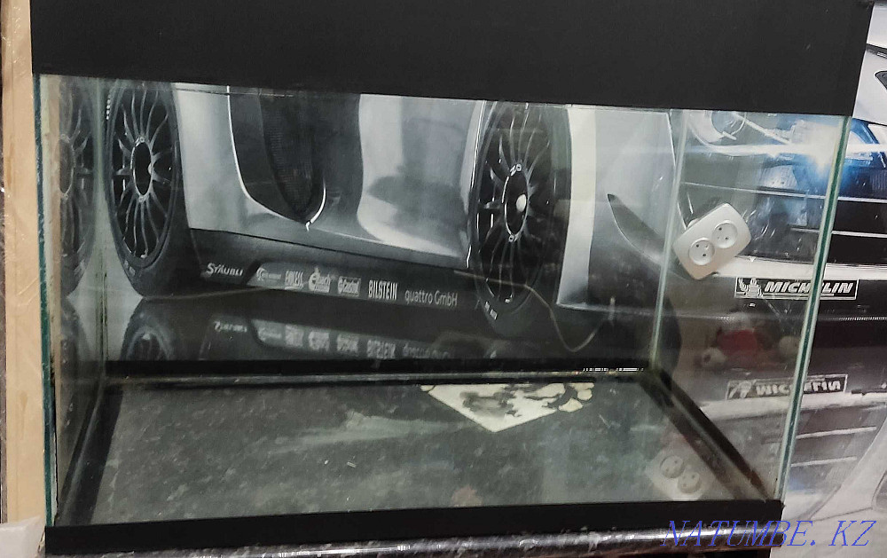 Pond slider Petropavlovsk - photo 4