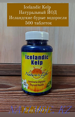 KELP natural seaweed iodine! 500 tablets! From USA Shymkent - photo 1