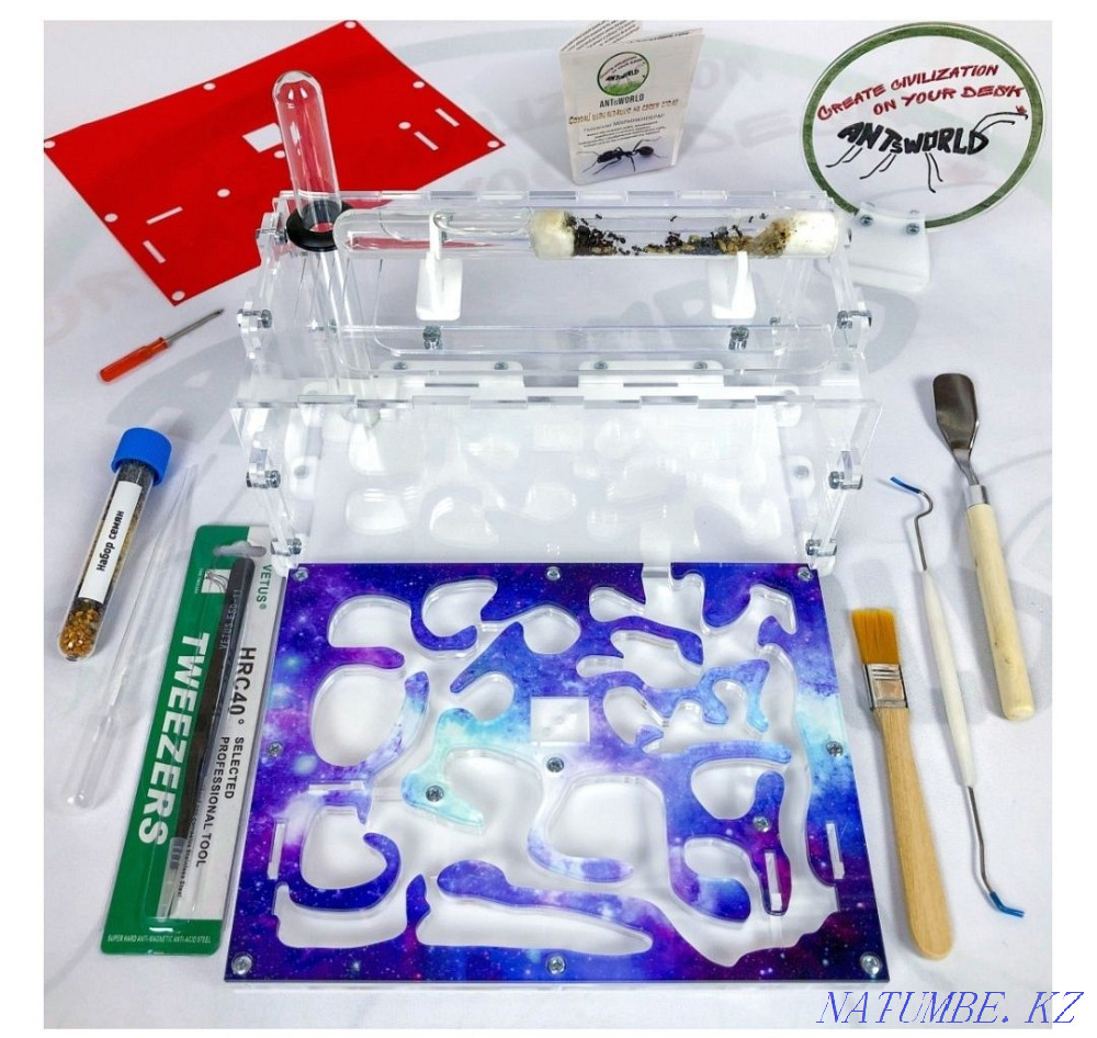 Ant farm for kids им. Жанкожа батыра - photo 1