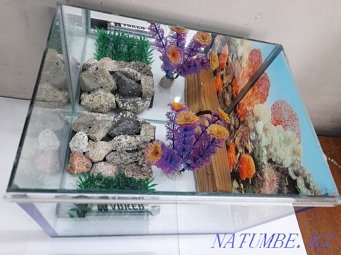 Terrarium. 10 liters. Mirror back wall. Almaty - photo 3