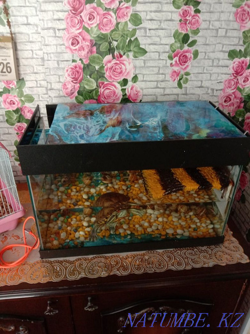 Selling red-eared turtle Aqsu - photo 1