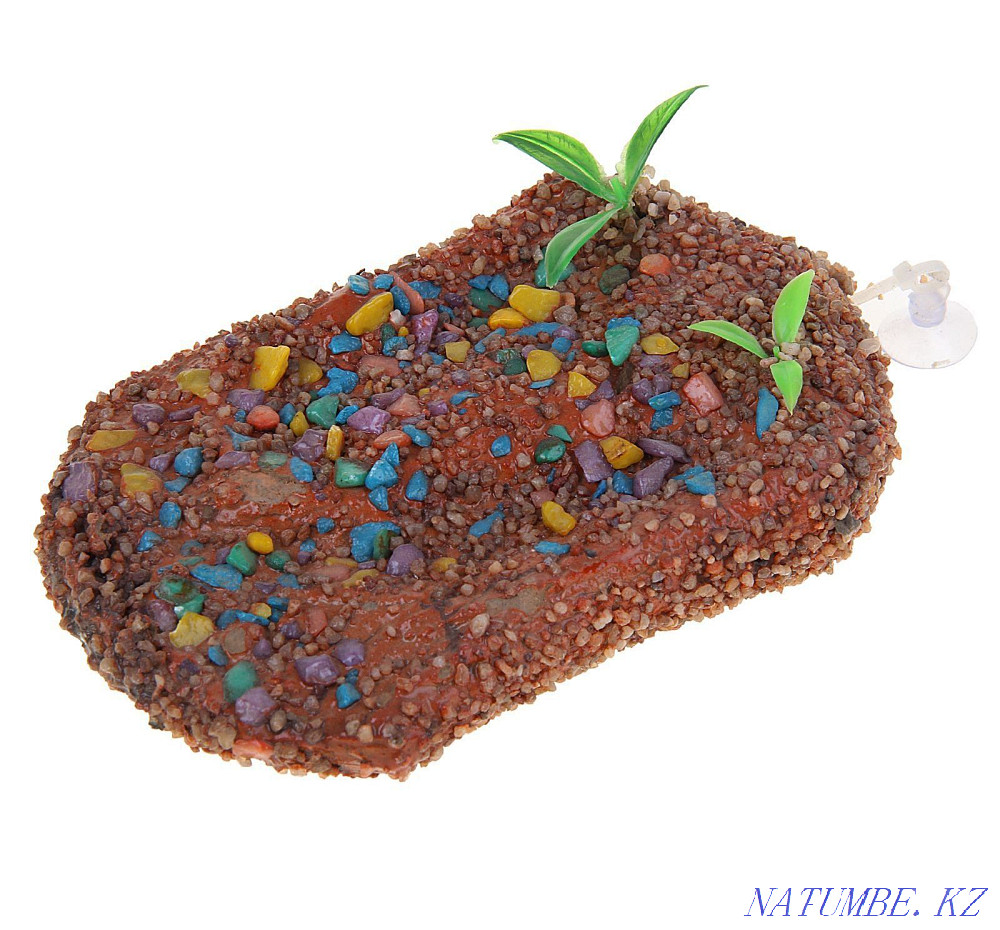 Сорғыш шыныаяқ тасбақа сал  Астана - изображение 1