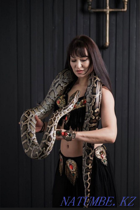 Продаю змею. 3-х метровую Алматы - изображение 2