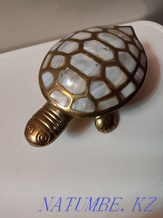 Turtle mother-of-pearl Oral - photo 1