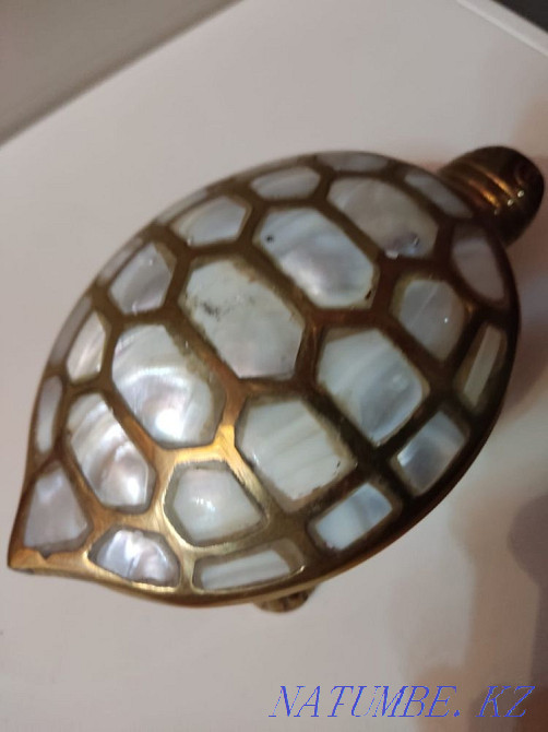 Turtle mother-of-pearl Oral - photo 3