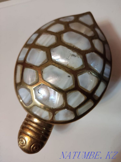 Turtle mother-of-pearl Oral - photo 4