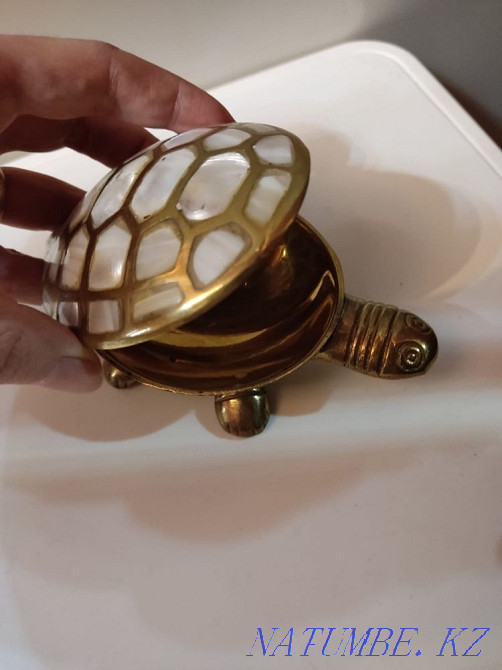 Turtle mother-of-pearl Oral - photo 2