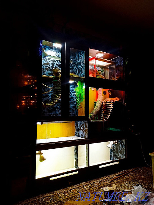 Террариумдар сатылады  Алматы - изображение 1