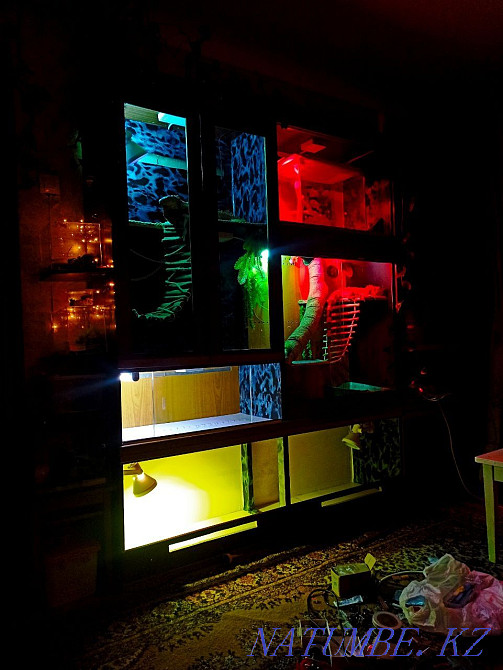 Террариумдар сатылады  Алматы - изображение 2