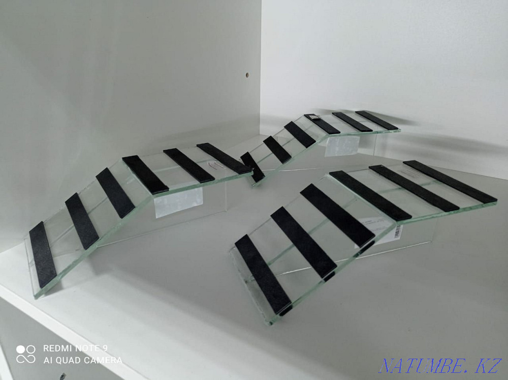 Тасбақалар, кесірткелерге арналған көпір  Астана - изображение 1