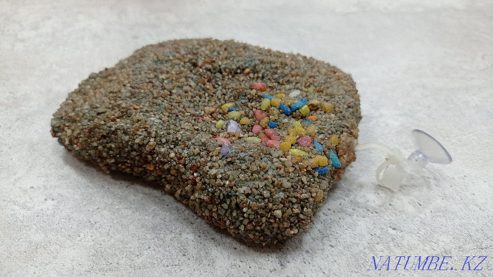 Сорғыш, аралдағы тасбақаларға арналған сал  Астана - изображение 1