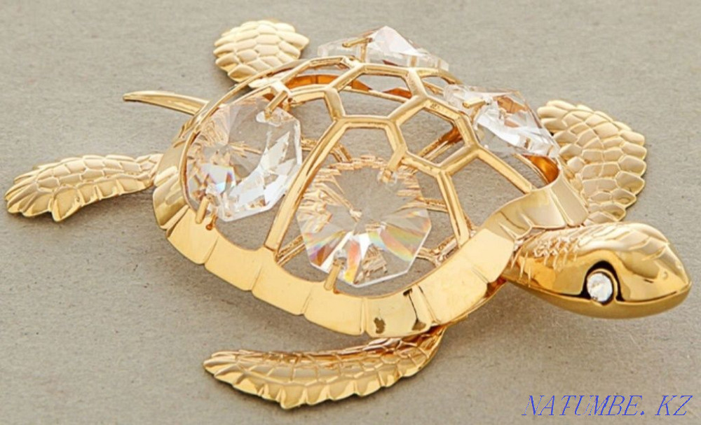 Черепашка миниатюрная Уральск - изображение 1