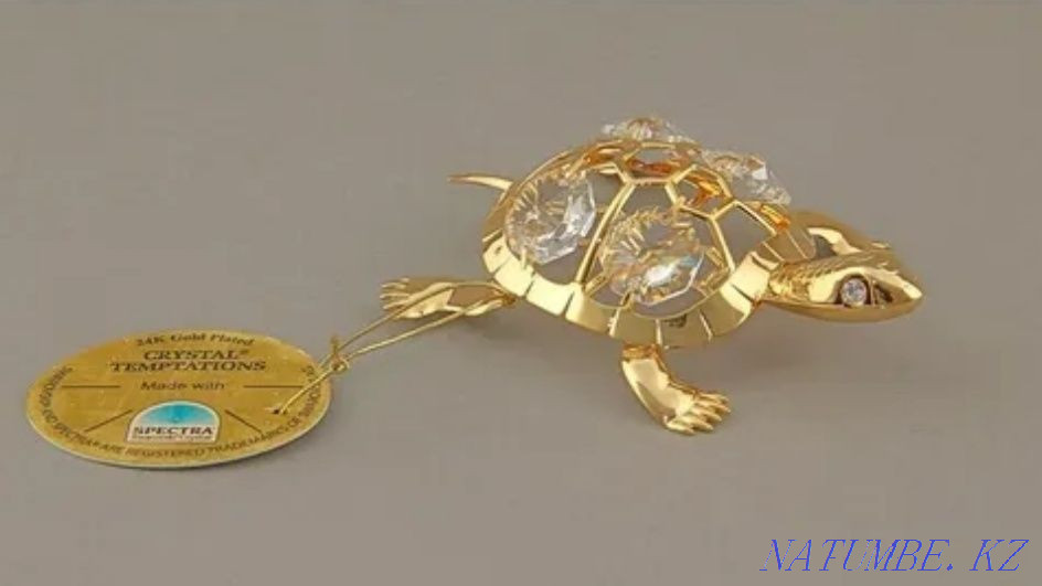Черепашка миниатюрная Уральск - изображение 3
