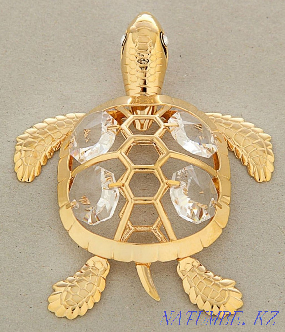 Черепашка миниатюрная Уральск - изображение 2