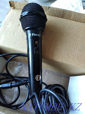 The microphone is new. Sorang - photo 1
