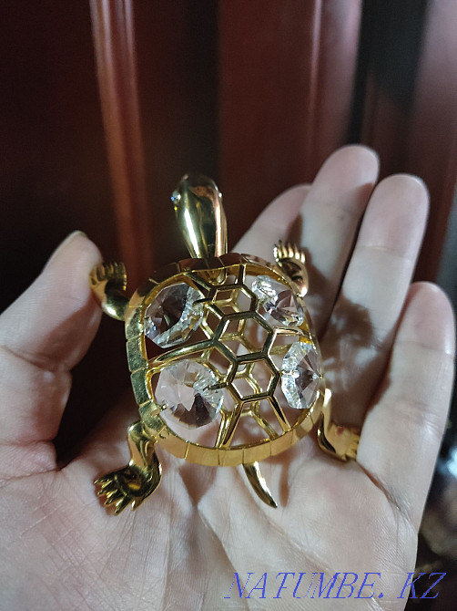 Черепашка недорого Уральск - изображение 2