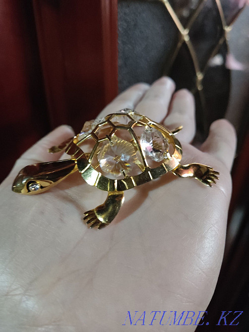 Черепашка недорого Уральск - изображение 3