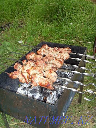 Selling brand new barbecue grill Pavlodar - photo 3