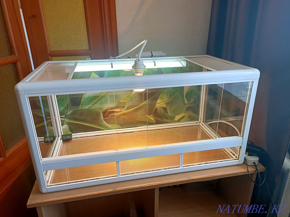 reptile terrarium for sale Ust-Kamenogorsk - photo 1