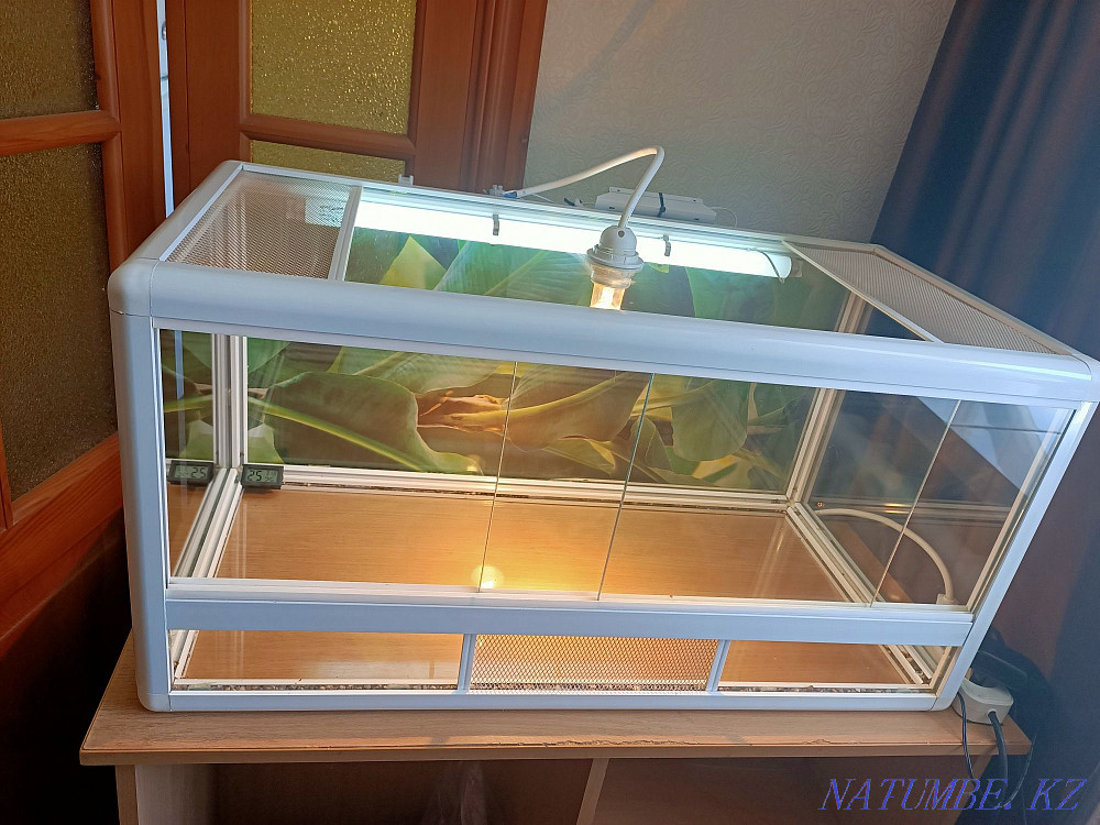 reptile terrarium for sale Ust-Kamenogorsk - photo 4