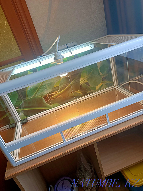 reptile terrarium for sale Ust-Kamenogorsk - photo 3