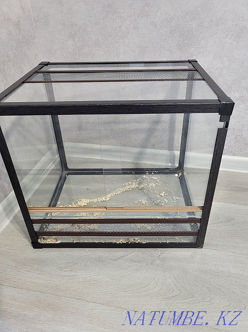I will sell a terrarium Almaty - photo 2