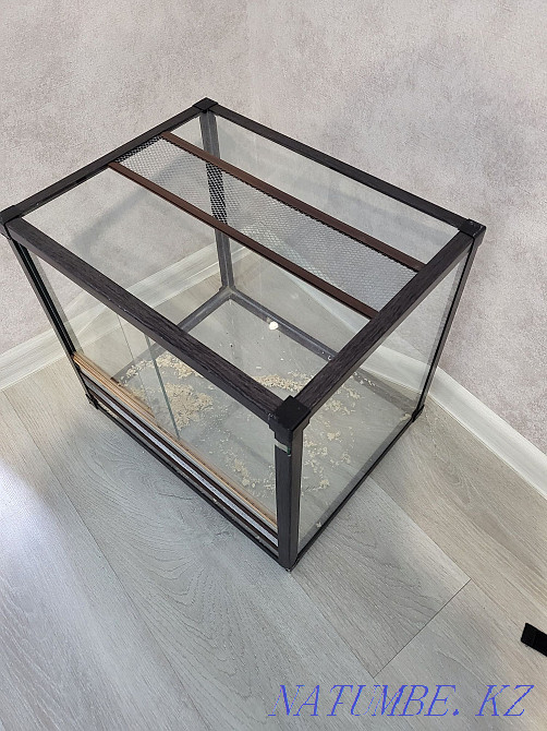 I will sell a terrarium Almaty - photo 1