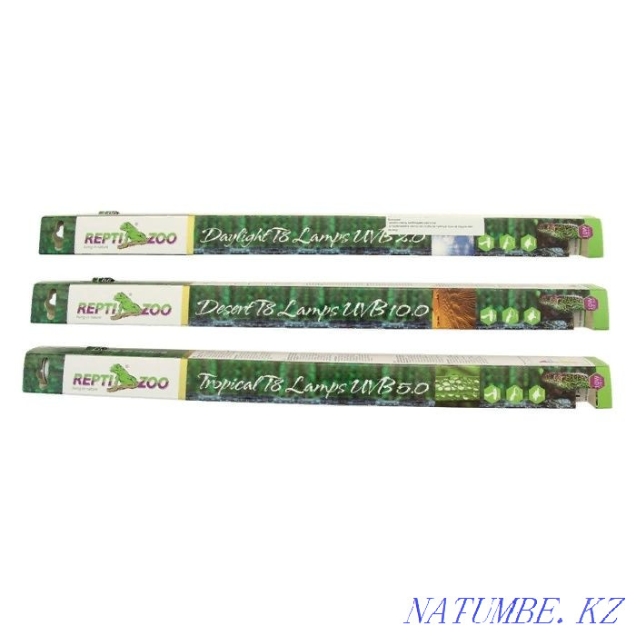 Кормушка террариумная в зоомагазине "ЖИВОЙ МИР" Алматы - изображение 4