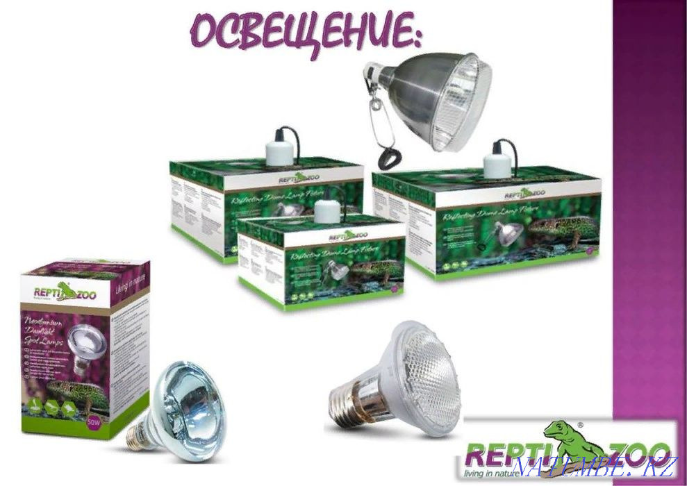 Кормушка террариумная в зоомагазине "ЖИВОЙ МИР" Алматы - изображение 2