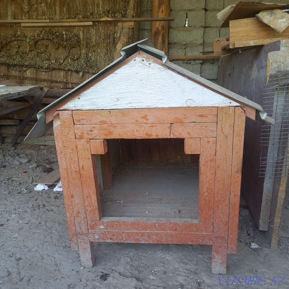 dog house kushike uya Shymkent - photo 1
