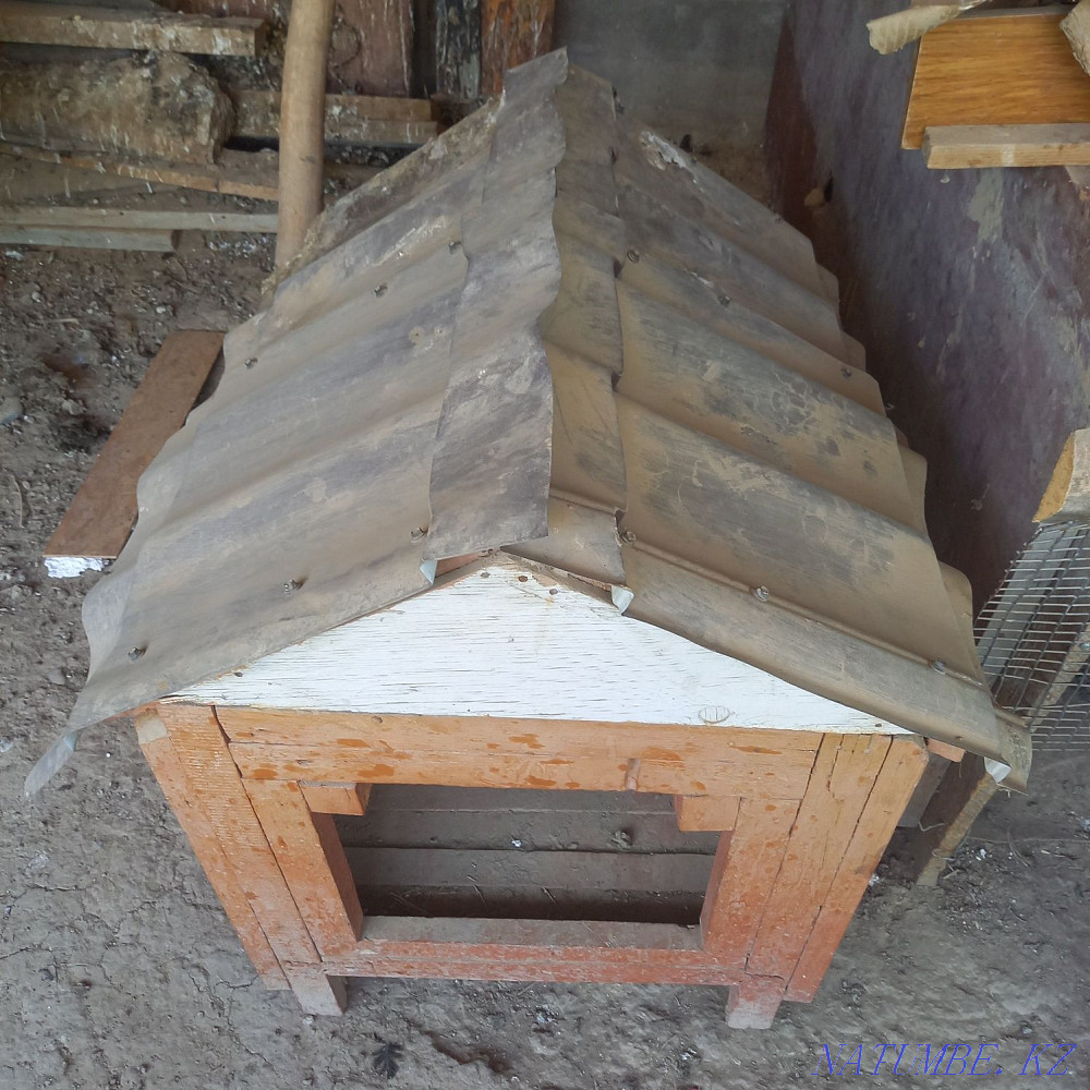 dog house kushike uya Shymkent - photo 2