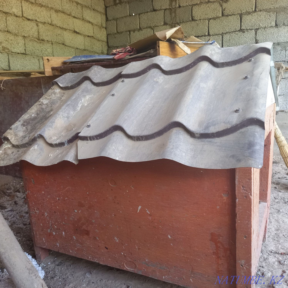 dog house kushike uya Shymkent - photo 3