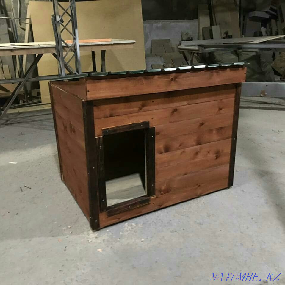 ит үйі  Алматы - изображение 3