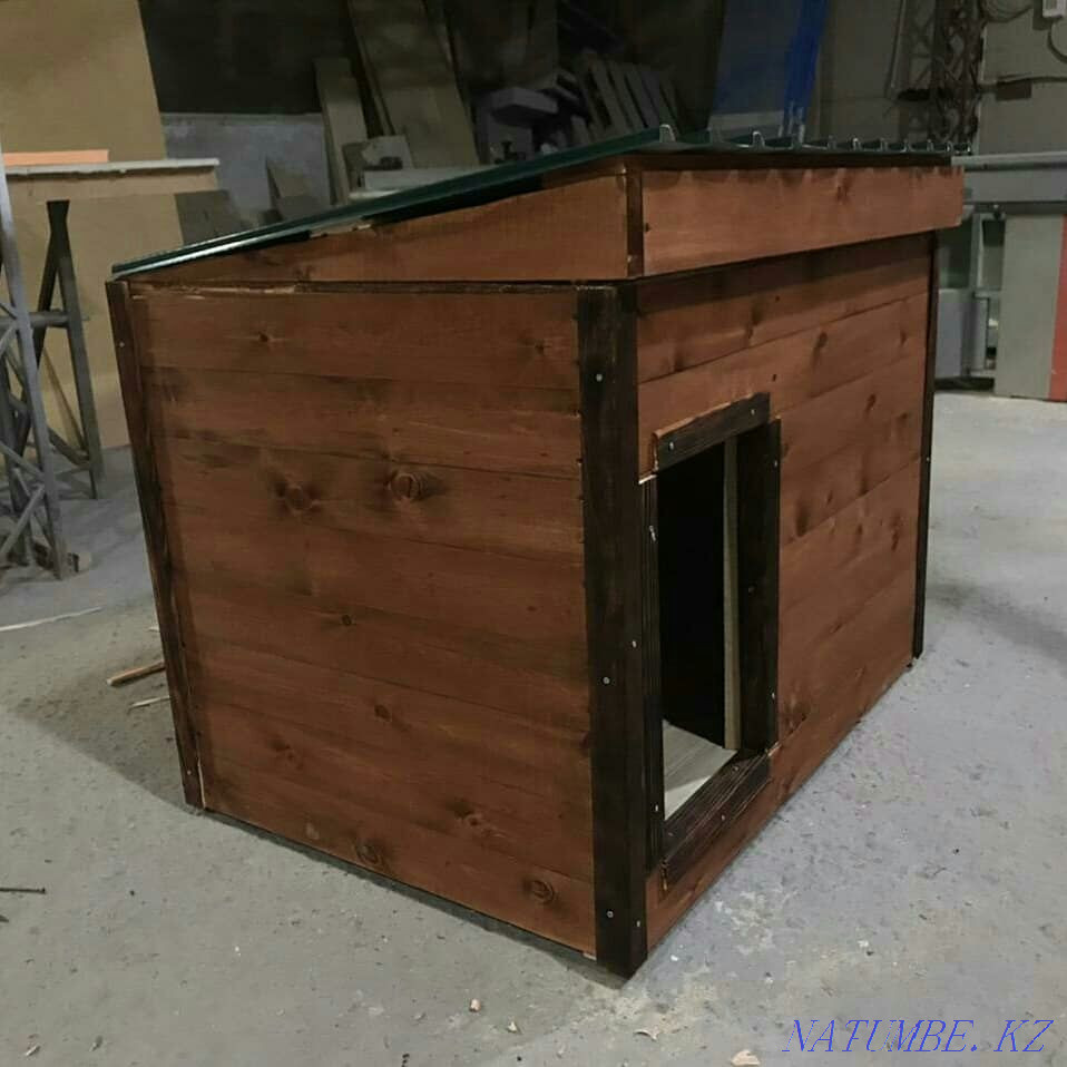 ит үйі  Алматы - изображение 1